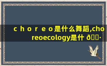 ｃｈｏｒｅｏ是什么舞蹈,choreoecology是什 🌷 么 🌾 舞